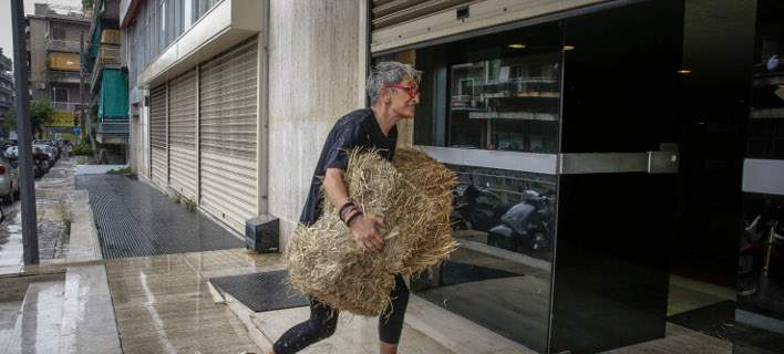 Ακτιβιστές πέταξαν… σανό στα γραφεία των ΑΝΕΛ